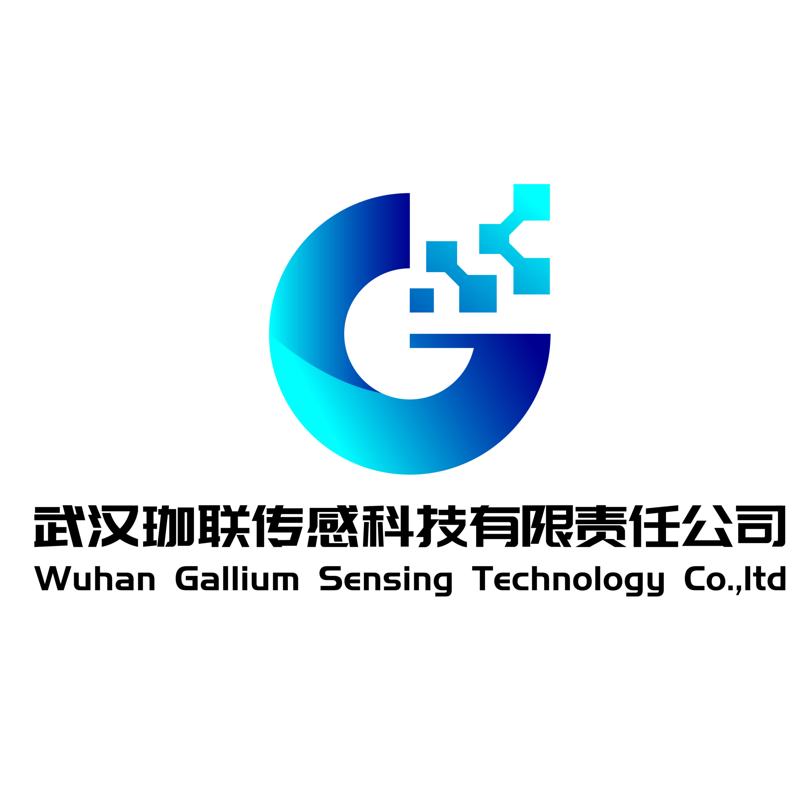 武汉珈联传感科技有限责任公司